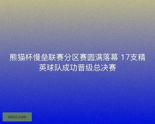 熊猫杯慢垒联赛分区赛圆满落幕 17支精英球队成功晋级总决赛