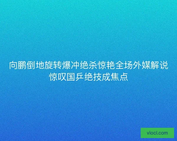 向鹏倒地旋转爆冲绝杀惊艳全场外媒解说惊叹国乒绝技成焦点